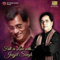 Koi Samjhega Kya Raz-E-Gulshan (From "Shukrana - The Best Of Jagjit Singh Ever") Jagjit Singh,Chitra Singh Song Download Mp3