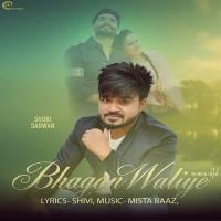 Bhagan Waliye Shobi Sarwan Song Download Mp3