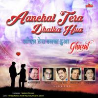 Aanchal Tera Dhalta Hua Mohammad Aziz Song Download Mp3