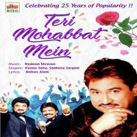 Teri Mohabbat Mein songs mp3