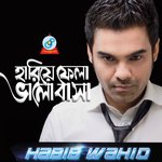 Hariye Fela Bhalobasha Habib Wahid Song Download Mp3