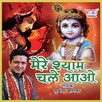 Bharde Re Shyam Jholi Bhar De Mukesh Bagda Song Download Mp3