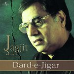 Tera Chehra Hai Aaeene Jaisa (Album Version) Jagjit Singh Song Download Mp3