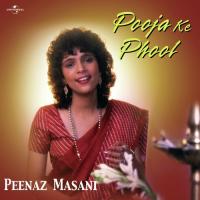 Neend Nahin Aave (Album Version) Peenaz Masani Song Download Mp3