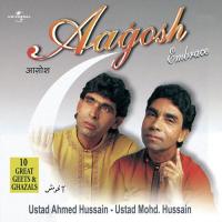 Har Ek Baat Pe Kehte Ho (Album Version) Ustad Ahmed Hussain,Ustad Mohammed Hussain Song Download Mp3