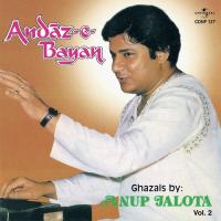 Mohabbat Ek Haqeeqat Hai (Album Version) Anup Jalota Song Download Mp3