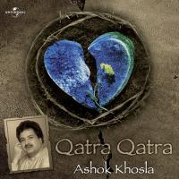 Aapne To Humko Pehchana Nahin (Album Version) Ashok Khosla Song Download Mp3