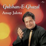 Yaad Karta Hai Mujhe (Bhulaye Na Bane  Soundtrack Version) Anup Jalota Song Download Mp3