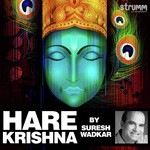 Hare Krishna Suresh Wadkar Song Download Mp3