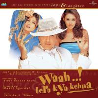 Yeh Mujhe Kya Hoowa (Waah..! Tera Kya Kehna  OST) Udit Narayan,Alka Yagnik Song Download Mp3
