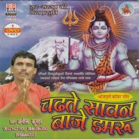 Chadhte Sawan Baje Damru Anil Kumar Song Download Mp3