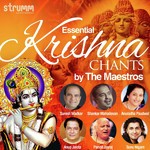 Hare Krishna Mahamantra Pandit Jasraj,Anuradha Paudwal Song Download Mp3