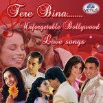 Tere Bina (Indian) Rahat Fateh Ali Khan Song Download Mp3