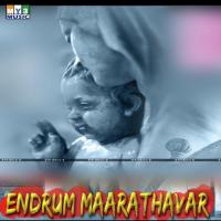 Endrum Maarathavar songs mp3
