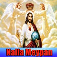 Nalla Meypan songs mp3