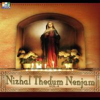 Nizhal Thedum Nenjam Vol - 4 songs mp3