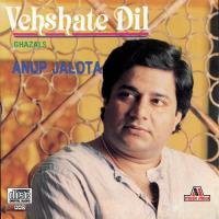 Vehshate Dil songs mp3