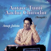 Antare Tumi Aacho Chirodin songs mp3