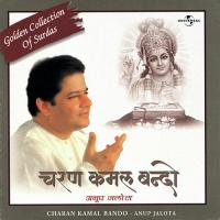Jo Hum Bhale Bure Tau Tere (Album Version) Anup Jalota Song Download Mp3