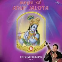Magic Of Anup Jalota - Krishna Bhajans Vol. 2 songs mp3