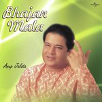 Chadariya Jhini Re Jhini (Album Version) Anup Jalota Song Download Mp3