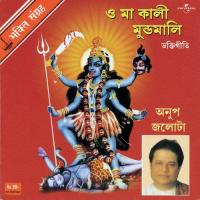 Ami Kalo Megh Dekh (Album Version) Anup Jalota Song Download Mp3