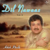 Jab Bhi Phool Khile Gulshan Mein (Album Version) Ashok Khosla Song Download Mp3