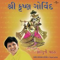 Shree Krishna Govind ( Dhun ) (Album Version) Falguni Pathak Song Download Mp3