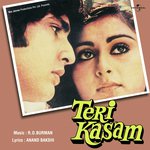 Teri Kasam (OST) songs mp3