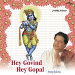 Hey Govind Hey Gopal (Album Version) Anup Jalota Song Download Mp3