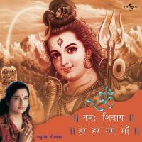 Om Namah Shivaye - Har Har Gange Maa songs mp3
