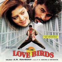 No Problem (Love Birds  Soundtrack Version) Apache Indian,A.R. Rahman Song Download Mp3