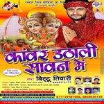Jhulanma Jhuli Re Bittu Tiwari Song Download Mp3