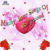 Tum Dil Ki Dhadkan Mein (Duet) Abhijeet,Alka Yagnik Song Download Mp3