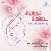 Kanavugalil Ulaviya Prasanna Song Download Mp3