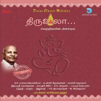 Chidhambaram Thiyagarajan Song Download Mp3