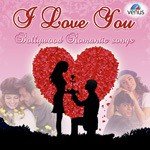 I Love You Kumar Sanu,Alisha Chinai Song Download Mp3