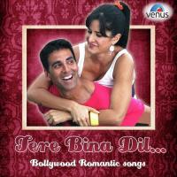 Chandni Raat Hai Abhijeet,Kavita Krishnamurthy Song Download Mp3