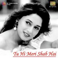 Tu Hi Meri Shab Hai (From "Gangster") KK Song Download Mp3
