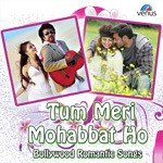 Tum Meri Mohabbat Ho Kumar Sanu,Alka Yagnik,Psunanda Song Download Mp3