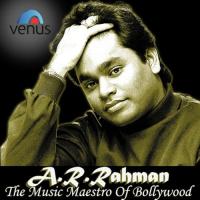 A.R. Rehman The Music Meastro Of Bollywood songs mp3