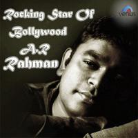 Rocking Star Of Bollywood A.R. Rehman songs mp3
