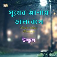 Sukher Ashay Valobese songs mp3