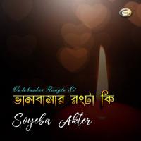 Tomar Amar Dekha Hobe Soyeba Akter Song Download Mp3