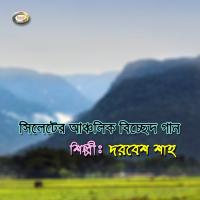 Amar Jibon Joubon Gelo Bifole Dorbesh Shah Song Download Mp3