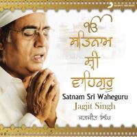 Satnam Sri Wahe Guru (Extended) Jagjit Singh Song Download Mp3