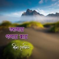 Ekbar Sonen Sokol Miya Bhai Nina Hamid Song Download Mp3