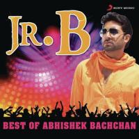 Jr.B - Best Of Abhishek Bachchan songs mp3