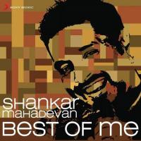 Shankar Mahadevan: Best Of Me songs mp3