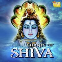 Om Maha Rudraya Srk Chorus Song Download Mp3